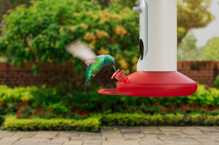 Bird Buddy Announces New AI-Powered Hummingbird Feeder - TWICE