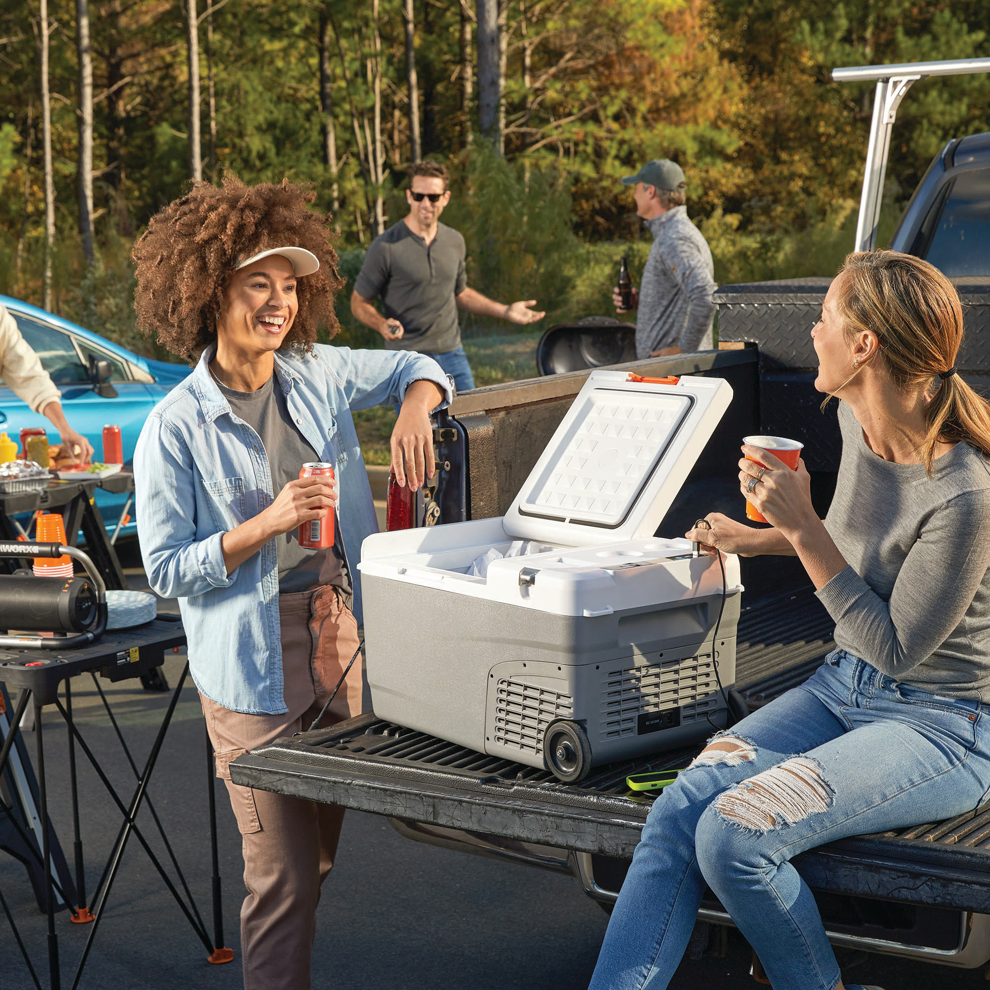 Electric powered hot sale cooler